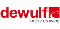Dewulf